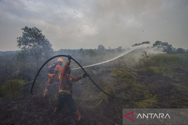 Upaya Pemadaman Karhutla di Kalimantan Selatan