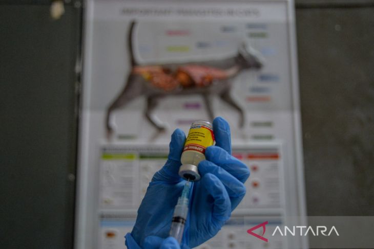 Permintaan vaksin rabies meningkat