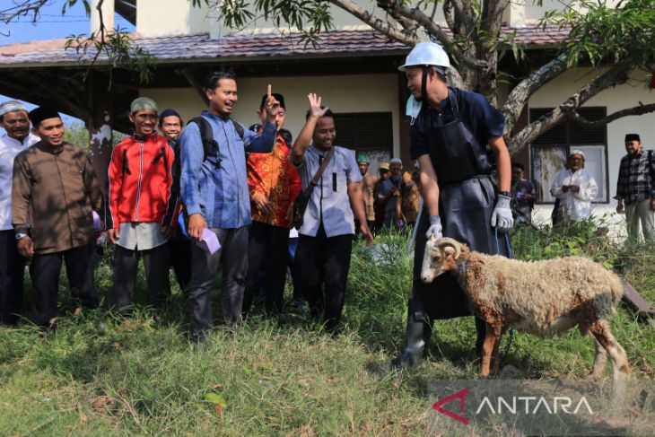 Pelatihan penyembelihan hewan kurban