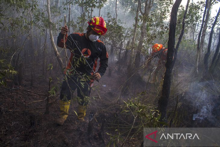 Pemadaman Karhutla di Banjarbaru Kalsel