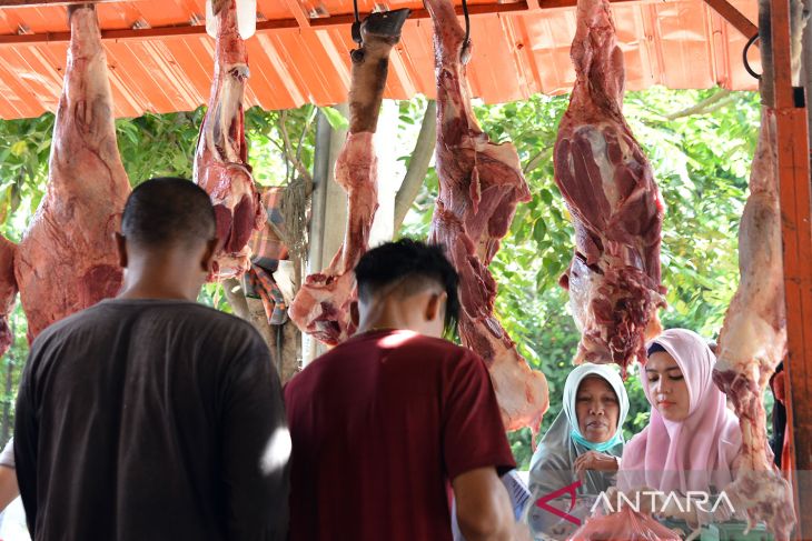 FOTO - Harga daging jelang tradisi meugang Idul Adha di Aceh