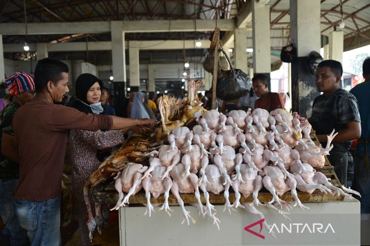 FOTO - Kenaikan harga ayam potong jelang Idul Adha di Aceh