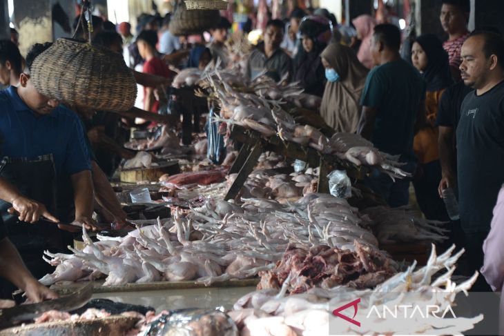 FOTO - Kenaikan harga ayam potong jelang Idul Adha di Aceh