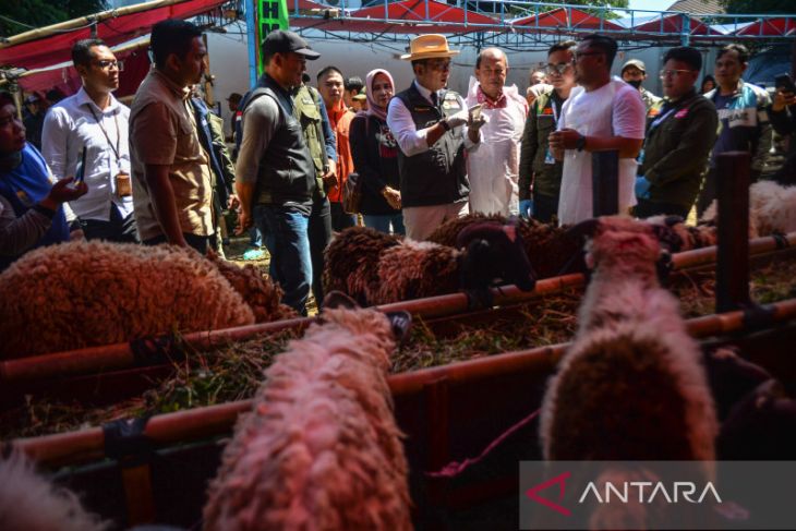 Gubernur Jawa Barat tinjau penjualan hewan kurban