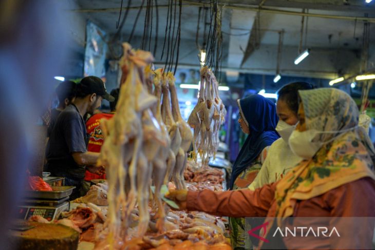 Kenaikan harga daging ayam di Bandung