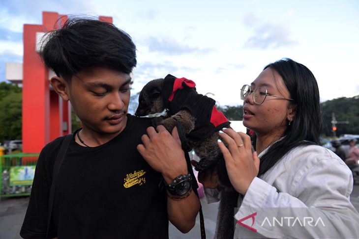 Eksibisi penyuka satwa langka di taman kota