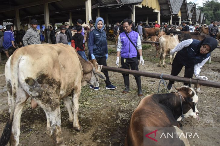Cegah penularan antraks di pasar hewan Manonjaya