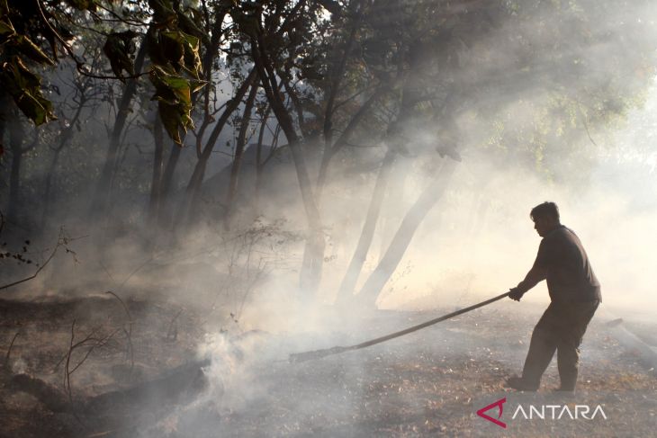 Kebakaran hutan di Ngawi