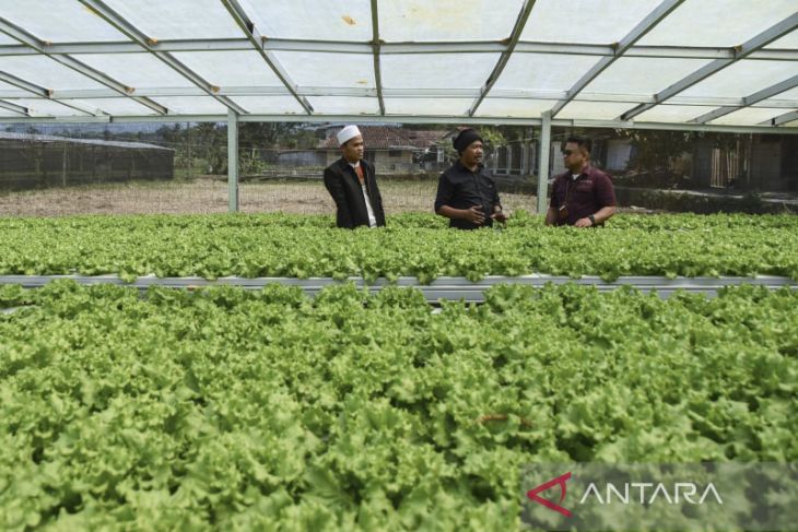 Desa berdikari jaga ketahan pangan