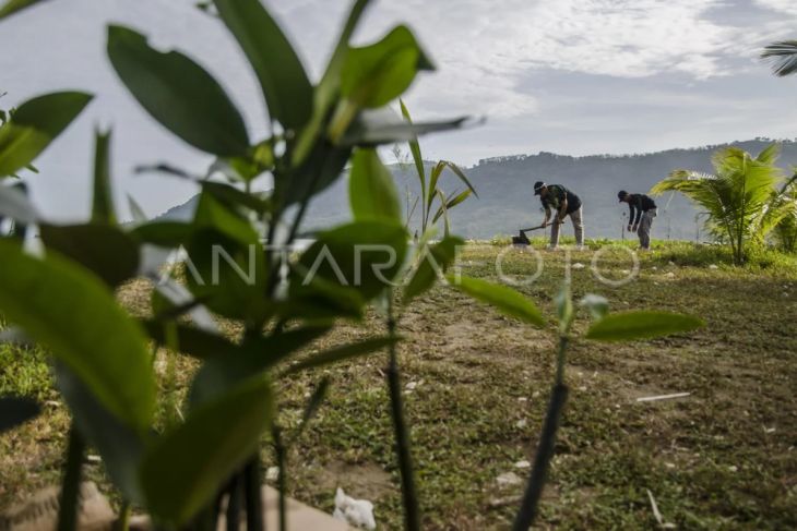 Penanaman bibit pohon di Pantai Palangpang