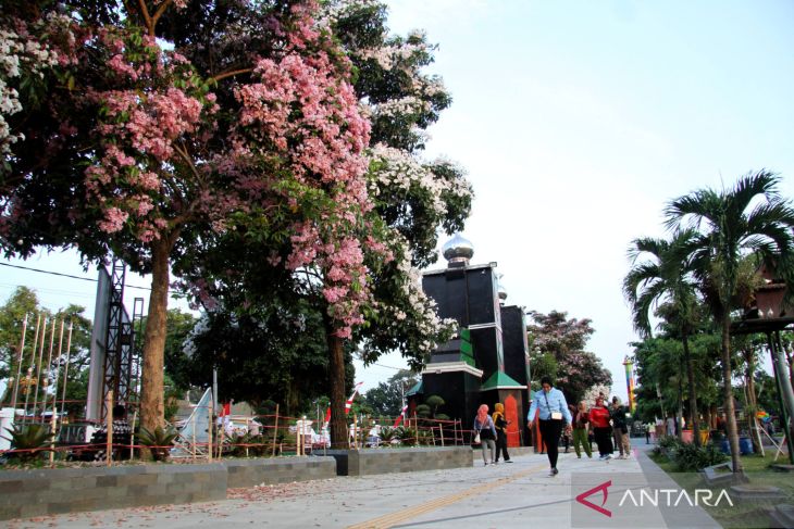 Bunga tabebuya di Jombang