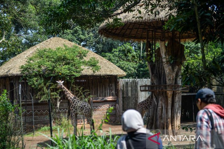 Kebun Binatang Bandung tetap beroperasi