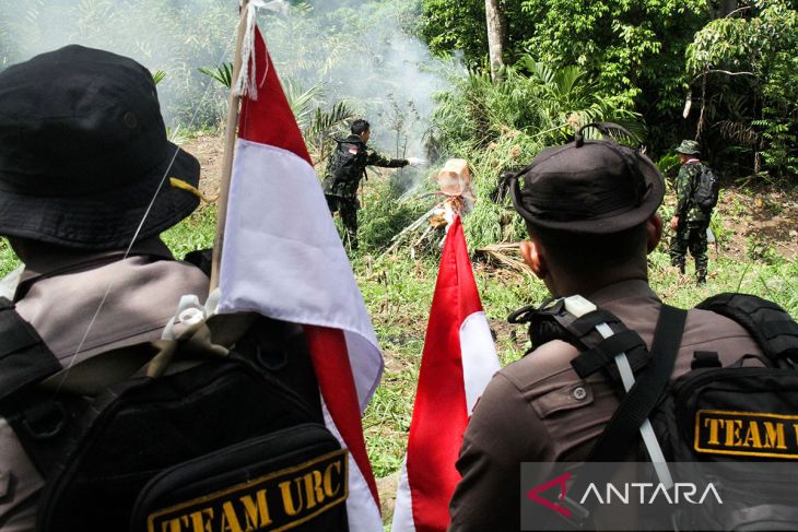 FOTO - Operasi ladang ganja BNN-RI dalam rangka HUT ke-78 RI