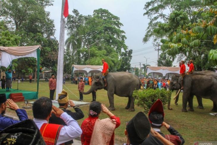 Gajah sumatra menjadi petugas upacara HUT Kemerdekaan RI