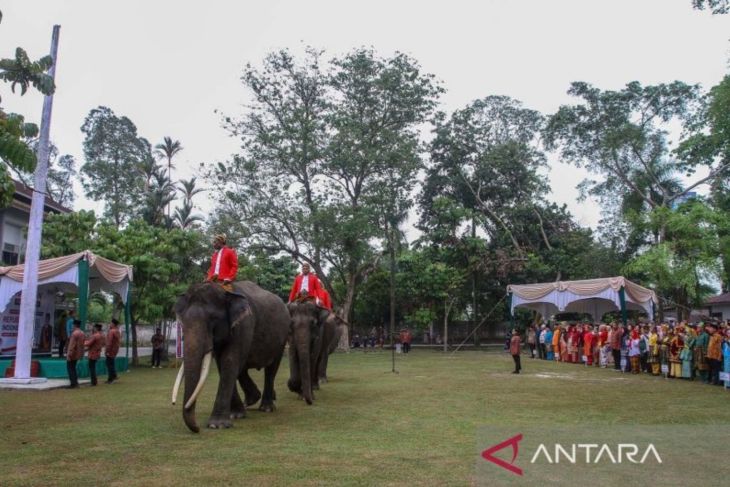 Gajah sumatra menjadi petugas upacara HUT Kemerdekaan RI