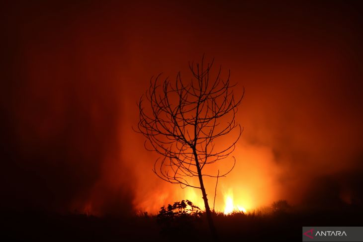 Karhutla Ancam Pemukiman Warga di Tapin