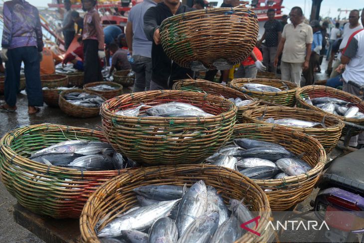 FOTO - Neraca perdagangan perikanan Aceh tempus tujuh negara