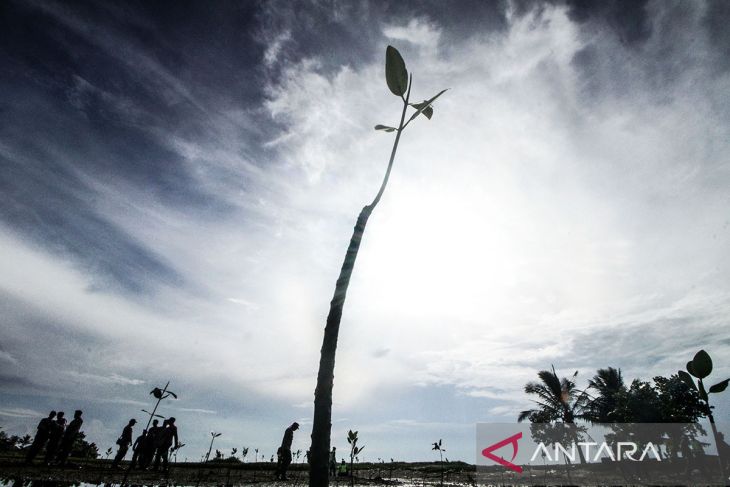 FOTO - Penanaman pohon serentak Polri lestarikan negeri