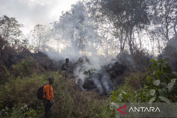 Kebakaran hutan di lereng Gunung Ciremai