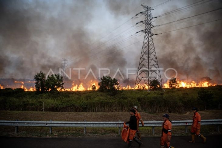 kebakaran lahan di JTTS ruas Palembang-Indralaya