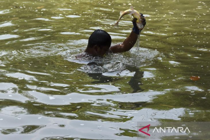 Menangkap ikan dengan tangan di Sungai Citanduy