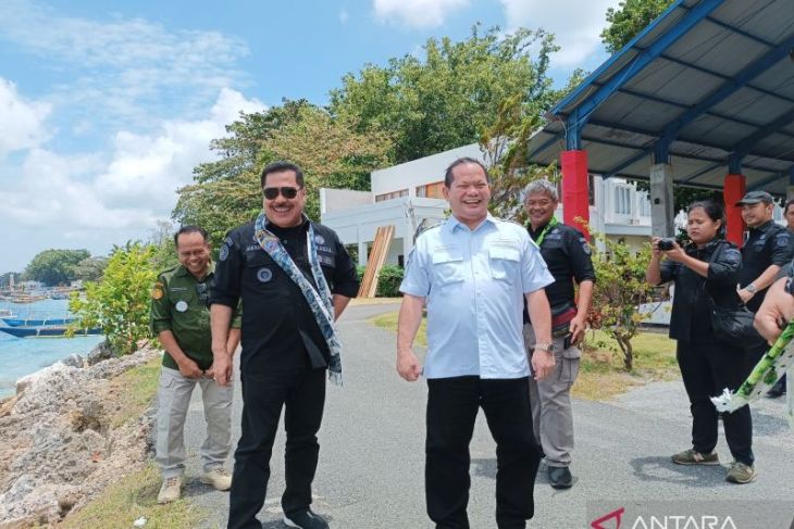 108 hektare sawah di Ambela-Talaud tak bisa produksi beras