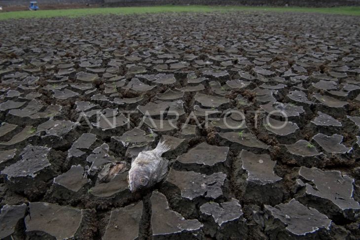 Danau Cinere mengering dampak El Nino