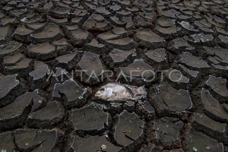 Danau Cinere mengering dampak El Nino