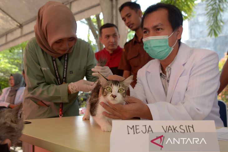 FOTO - Vaksinasi rabies gratis di Aceh