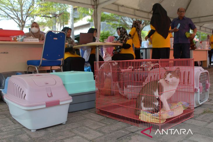 FOTO - Vaksinasi rabies gratis di Aceh