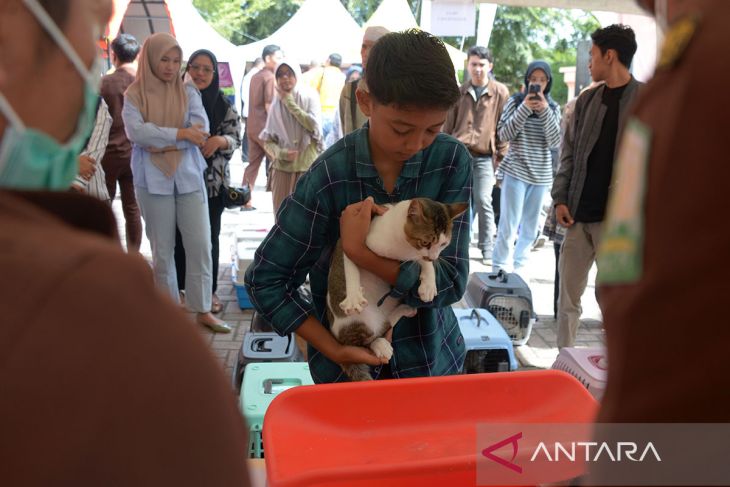 FOTO - Vaksinasi rabies gratis di Aceh