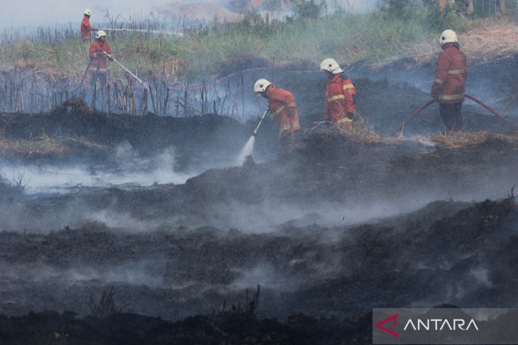 Kebakaran lahan di Surabaya