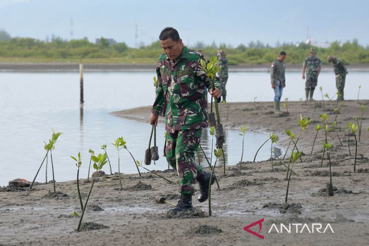 FOTO - Penanaman mangrove untuk pemulihan lingkungan