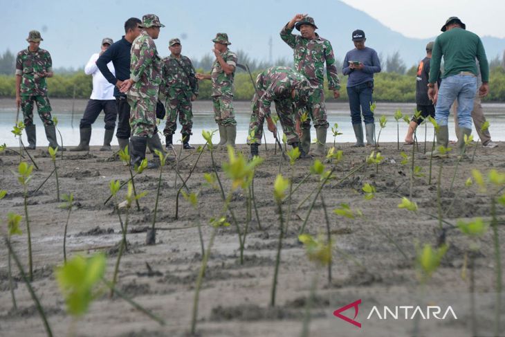 FOTO - Penanaman mangrove untuk pemulihan lingkungan