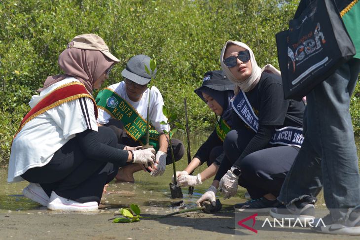 FOTO-Duta Wisata Tanam Manggrove sambut Sumpah Pemuda