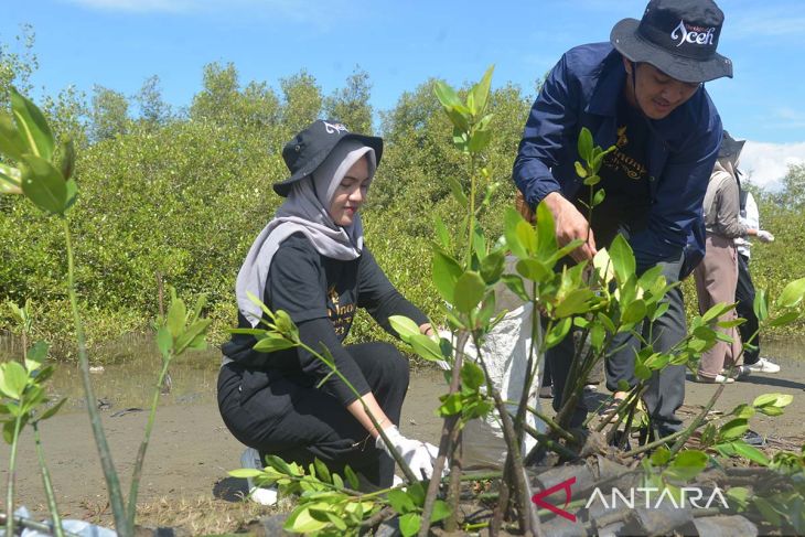 FOTO-Duta Wisata Tanam Manggrove sambut Sumpah Pemuda