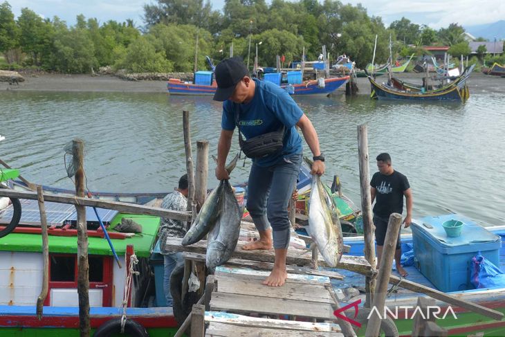 FOTO-Lelang Ikan Donasi untuk Palestina