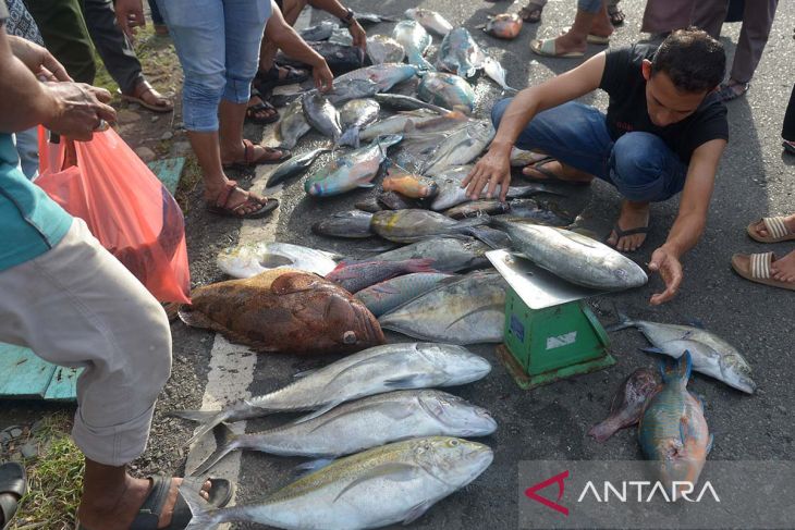 FOTO-Lelang Ikan Donasi untuk Palestina