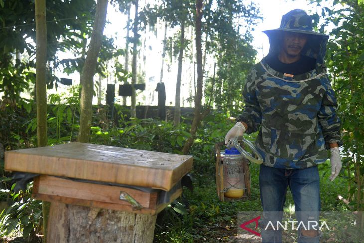 FOTO - Budi daya lebah madu ternak binaan Polri di Aceh Besar