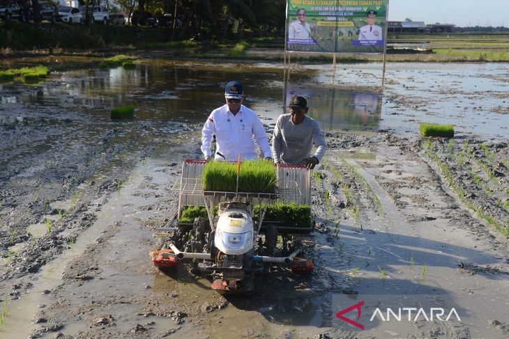 FOTO - Wamentan RI tanam padi di Aceh Besar