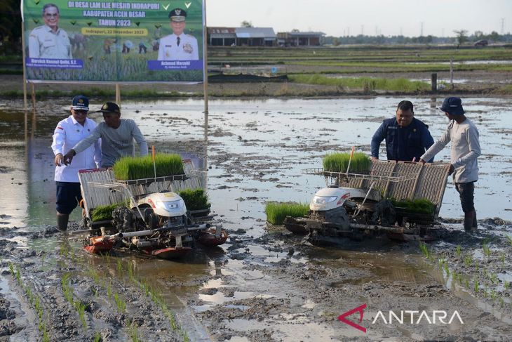 FOTO - Wamentan RI tanam padi di Aceh Besar