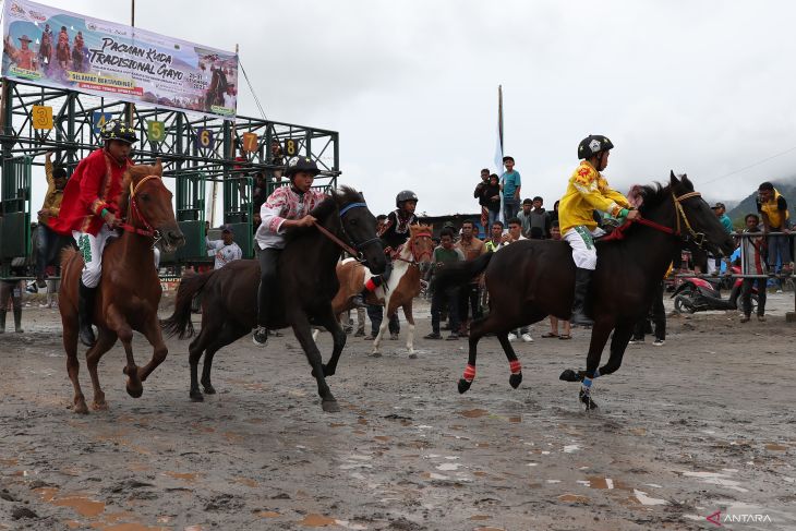 FOTO - Pacuan Kuda Tradisional Gayo, pilihan liburan akhir tahun di Aceh