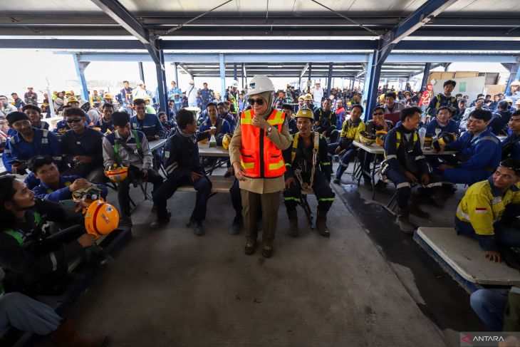 Menaker tinjau pembangunan smelter Freeport di Gresik