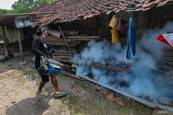 Upaya pencegahan wabah DBD oleh Karang Taruna