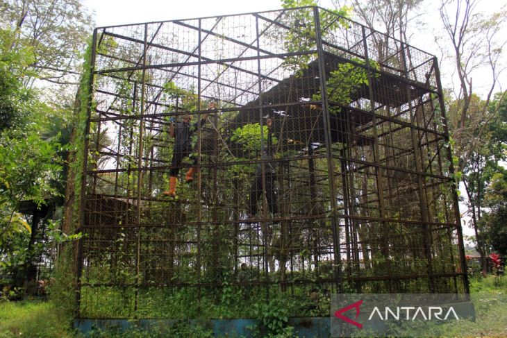 Aksi Bersih Medan Zoo Dihadiri Ratusan Relawan