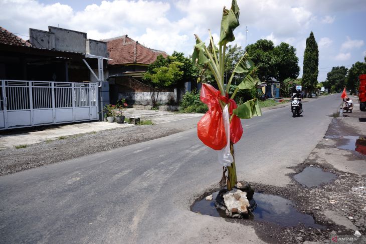 Jalan ditanami pohon pisang di Jombang