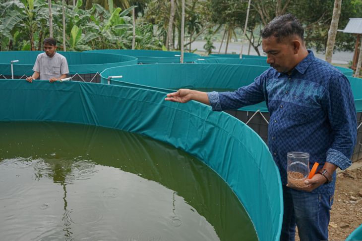 Budidaya ikan sistem bioflok dari Dana Desa di Sabang
