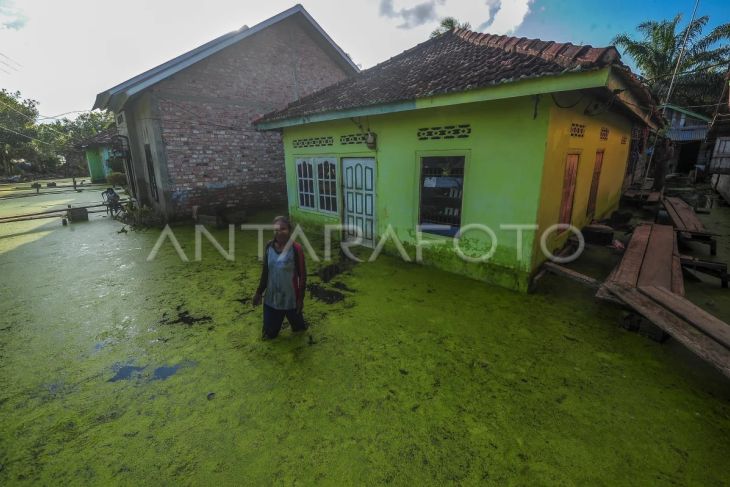 Banjir luapan Sungai Batanghari di Muaro Jambi