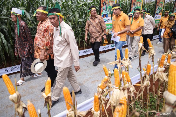 Grand launching jagung bioteknologi di Lamongan