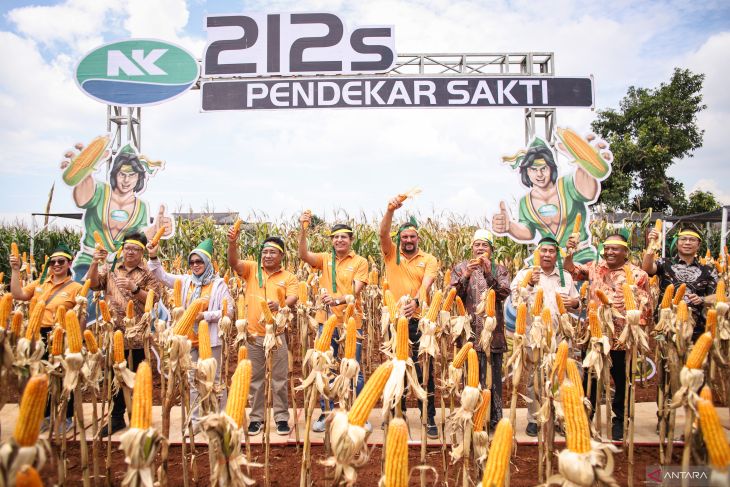 Peluncuran jagung bioteknologi di Lamongan